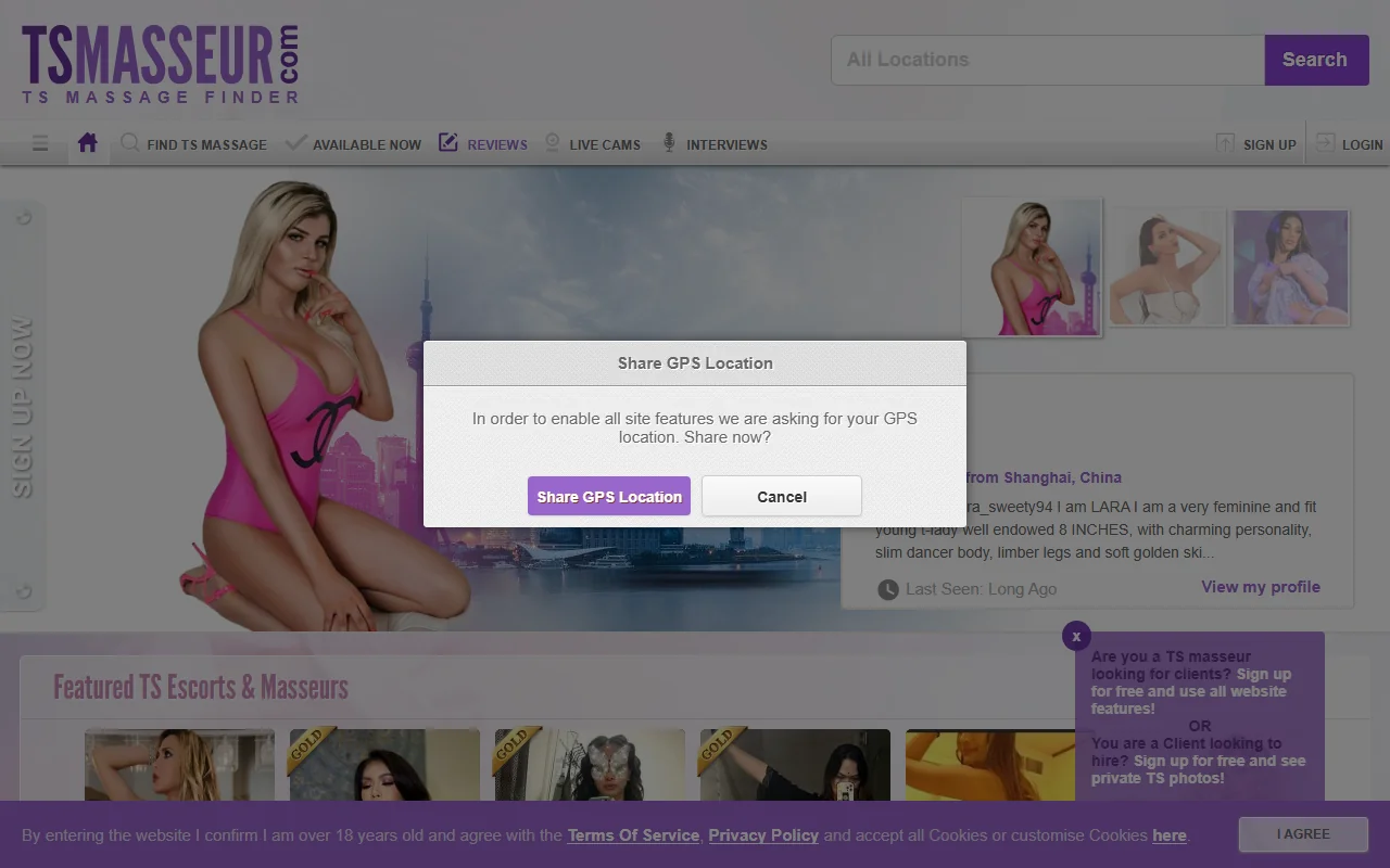 Screenshot of Tsmasseur